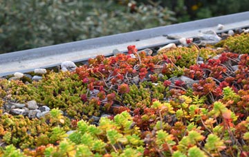 the cost of West Monkton green roof installation