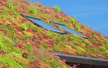 West Monkton living roof systems